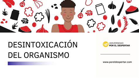 Desintoxicación Del Organismo Introducción Youtube