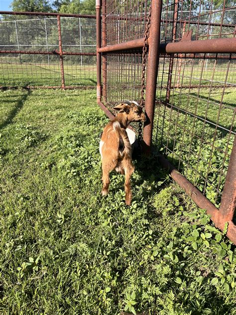 Taylor County Sheriff's Office | Abilene TX
