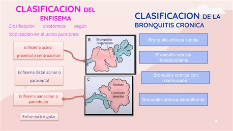 Fisiopatologia Del Asma Bronquitis Cronica Enfisema Y Insuficiencia