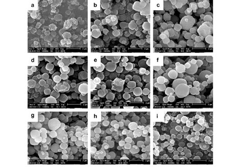 Scanning Electron Micrographs Of The Crystalline End Products Zeolite