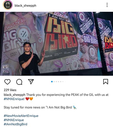 Fashion PULIS Enrique Gil Plays Twin Of Thai Porn Star In Comeback Movie I Am Not Big Bird