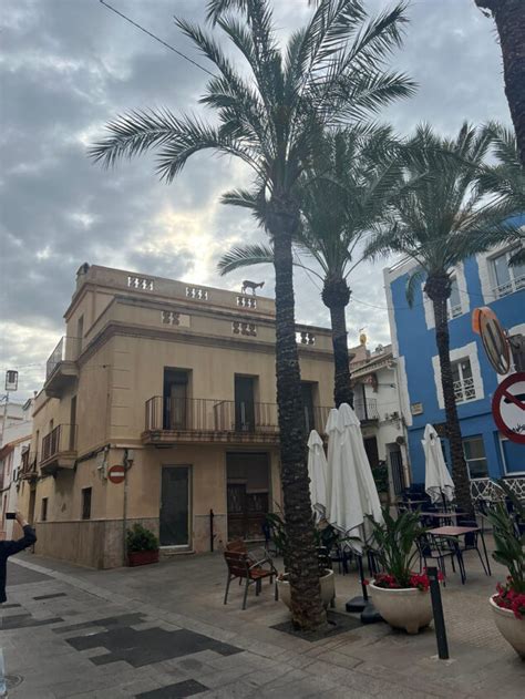 Una Cabra Trepadora Causa Revuelo En El Casco Antiguo De Calp