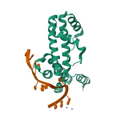 Rcsb Pdb 3ugo Crystal Structure Of Rna Polymerase Sigma Subunit Domain 2 Complexed With 10