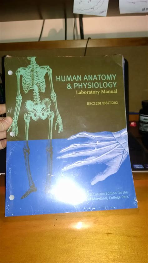 Human Anatomy Physiology Laboratory Manual BSC1201 BSC1202 The