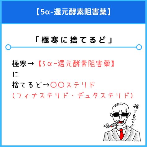 5α 還元酵素阻害薬のゴロ（覚え方）｜薬学ゴロ 薬学部はゴロでイチコロ！