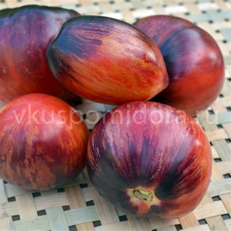Купить семена томата сорт Клубничный водопад полосатый (Strawberry ...