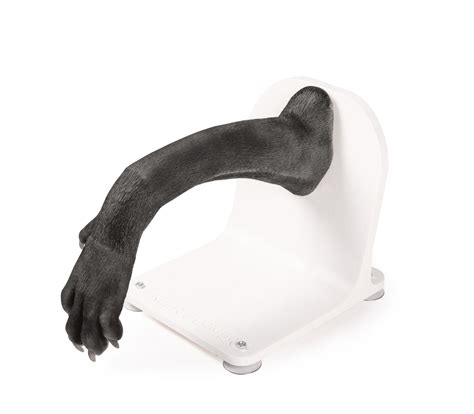 dog cut paw pad bandage 5