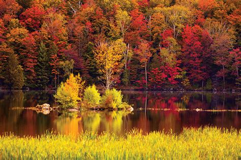 New England Road Trip Guide: The Definitive Vermont Foliage Tour