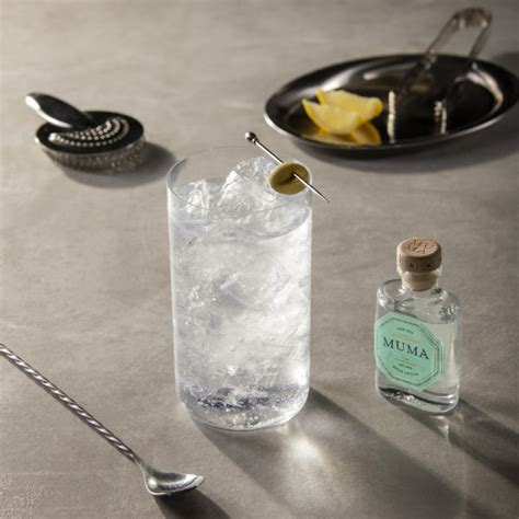 Guida Completa Al Mondo Del Gin Cocktail Degustazione Cosaporto