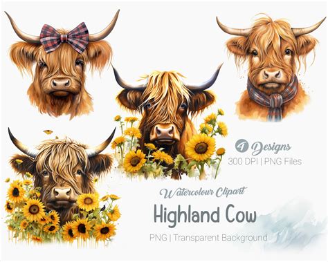 Watercolour Highland Cow Clipart Floral Cow Clipart Etsy