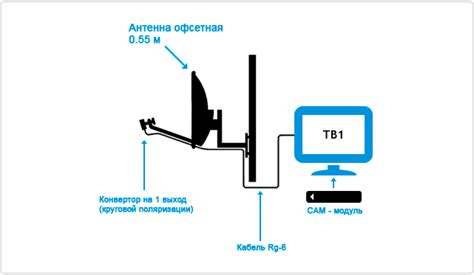 Триколор ТВ модуль CAM условного доступа купить в Калининграде