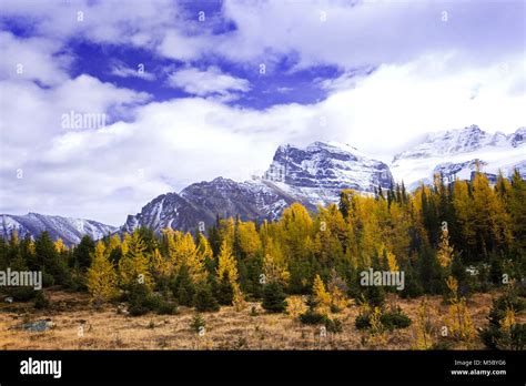 Moraine Lake In The Valley Of The Ten Peaks Banff National Park Alberta