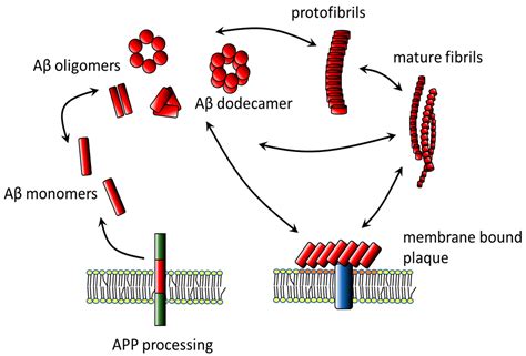 The Role of Lipid Environment in Ganglioside GM1-Induced Amyloid β