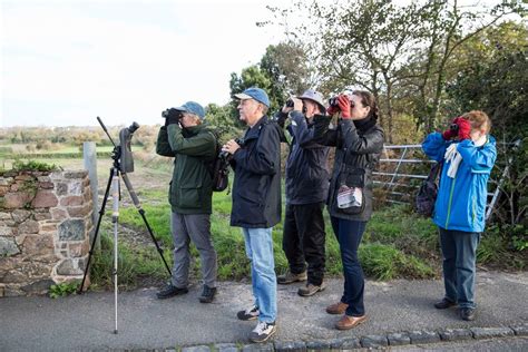 Birdwatchers Walk Finds The Species But Leader Bemoans Loss Of So