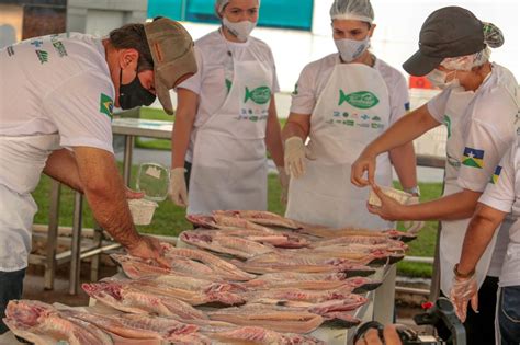 Ariquemes Recebe O Festival Internacional Do Tambaqui Da Amaz Nia