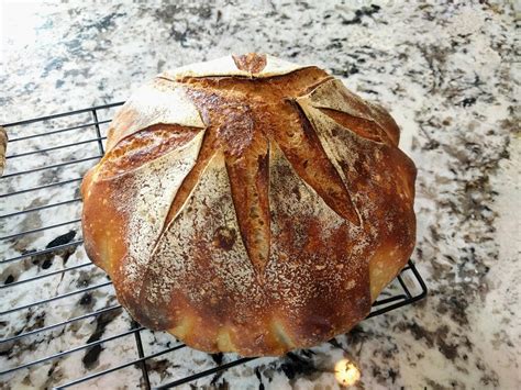 Forkish Double Fed Sweet Levain The Fresh Loaf