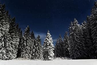 Stars Forest Woods Night Sky Dark Landscape Galaxy Nature