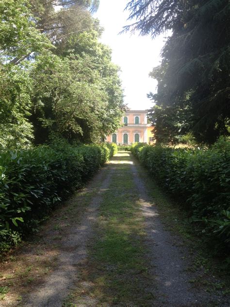 Italian National Trauma Center - Global Mental Health