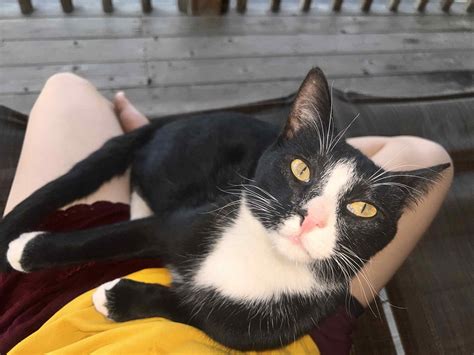 How to choose the best crematory near me for your needs 6