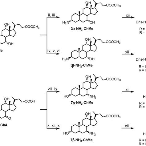 Scheme Reagents And Conditions I Meoh Hcl Dmp Ii Ag Co