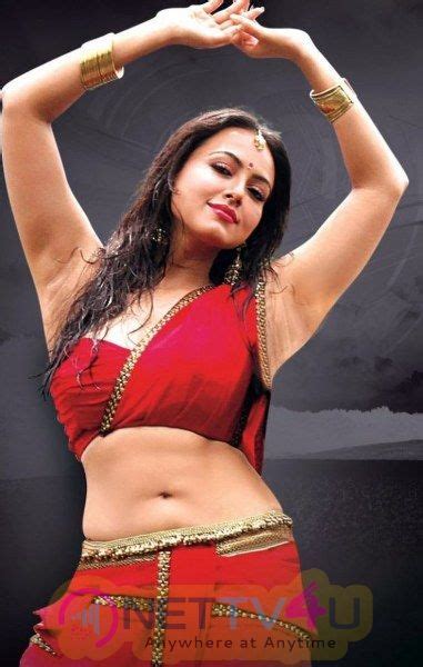 Actress Sana Khan Hot And Sexy Pics 496259 Galleries HD Images