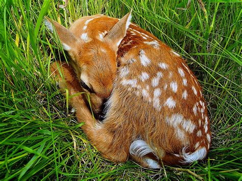 New Photograph by Blair Wainman - Fine Art America 