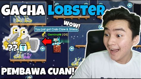 Gacha Lobster Pembawa Cuan Langsung Dicoba Ges Growtopia Gacha