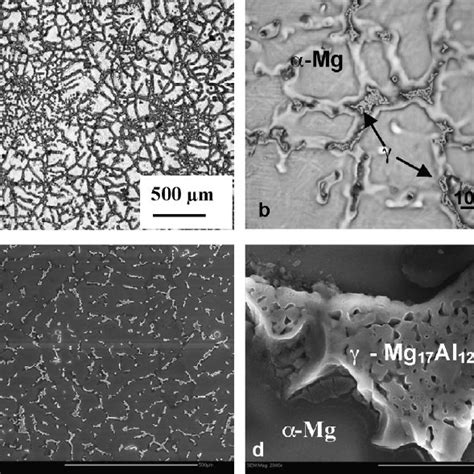 Microstructure Of As Cast Alloy Ac A B Om And C D Sem Download Scientific Diagram