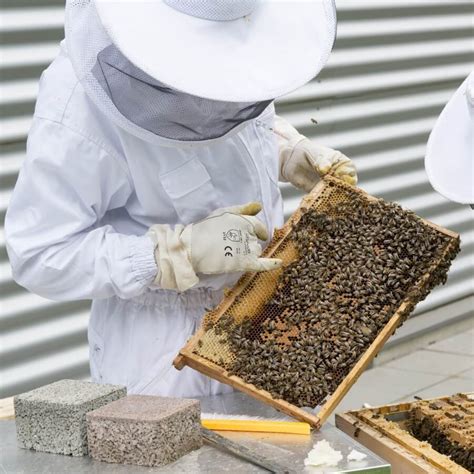 Beekeeping