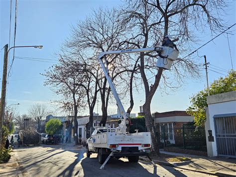 Continúan Los Trabajos De Poda En El Centro Noticias De Luján