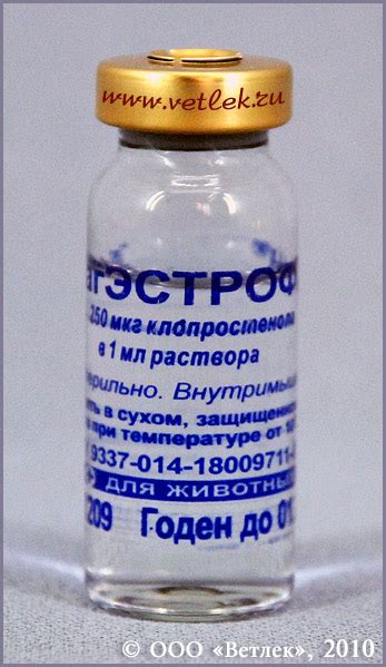 Магэстрофан, фл. 10 мл (5 доз) купить в ветеринарном интернет-магазине ...