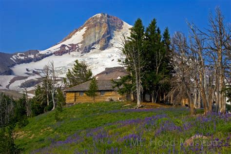 Exhibits Mount Hood Museum