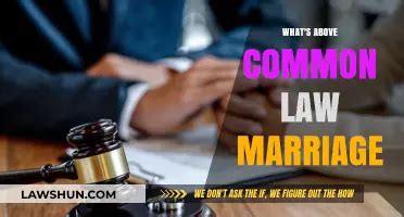 understanding common law  legal system explained lawshun