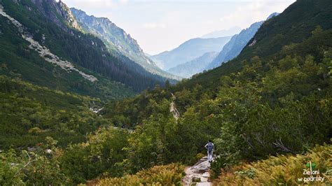 Szpiglasowy Wierch W P Telk Zieloni W Podr Y