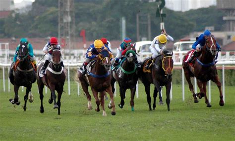 Corrida De Cavalos Nome - Corrida De Cavalo Nome - FDPLEARN