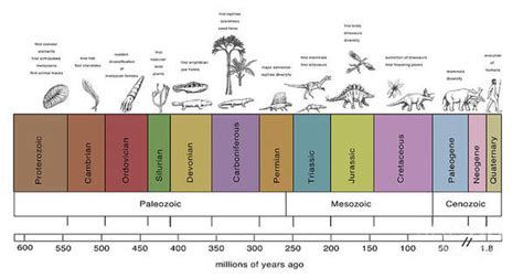 Geologic Time Scale Chart