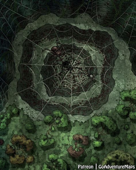 Spider Nest 24x30 Rdndmaps