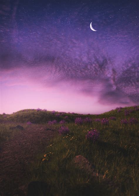 daydreams. | Behance