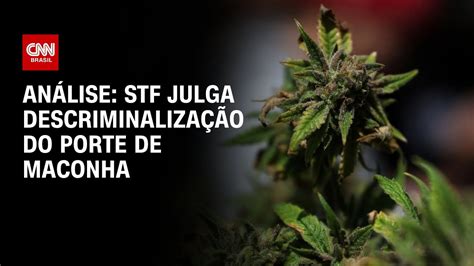 Análise Stf Julga Descriminalização Do Porte De Maconha Ww Youtube