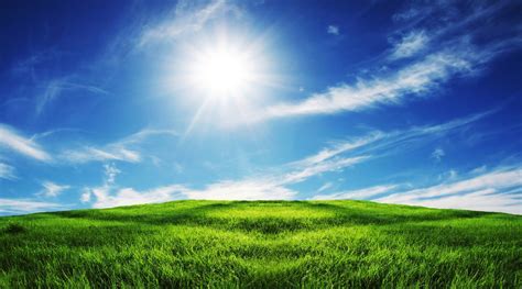 sunny day background  images