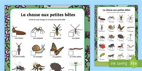 Activité La chasse aux petites bêtes teacher made