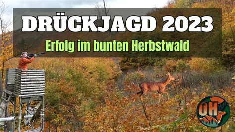 DRÜCKJAGD im bunten Herbstwald I 2023 YouTube