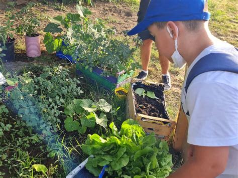 Semi Di Relazione Coltiviamo Agricoltura Sociale Tre Premi Da