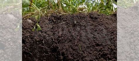 Плодородный грунт купить в Нижнем Новгороде | Товары для дома и дачи ...