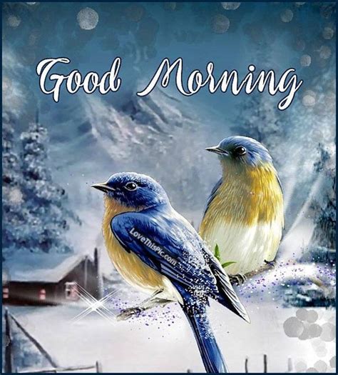 Birds In The Winter Morning Birds Winter Morning Winter Quotes