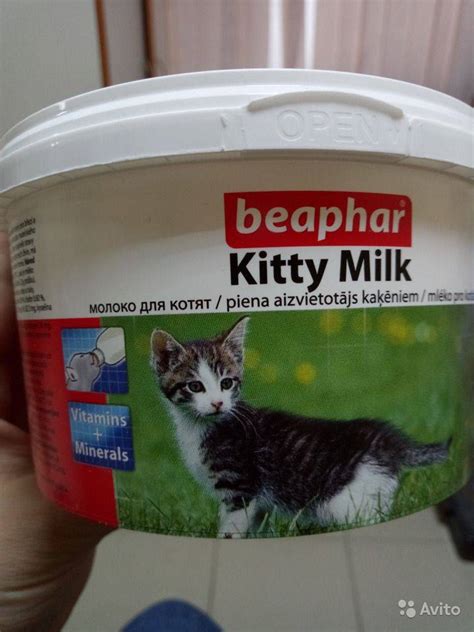 Заменитель кошачьего молока: Особенности продуктов альтернативного ...