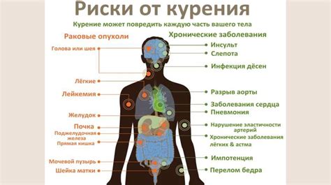 Вредные привычки и их влияние на здоровье. Профилактика вредных ...