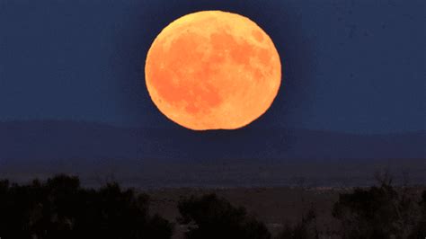 The Harvest Moon As Seen Around South Carolina