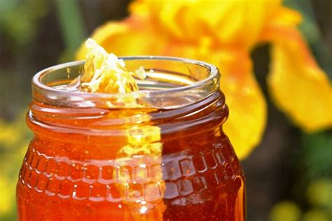 Zambian Honey Producers In Export Boost African Farming