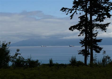 Free Images Landscape Sea Coast Tree Nature Forest Horizon